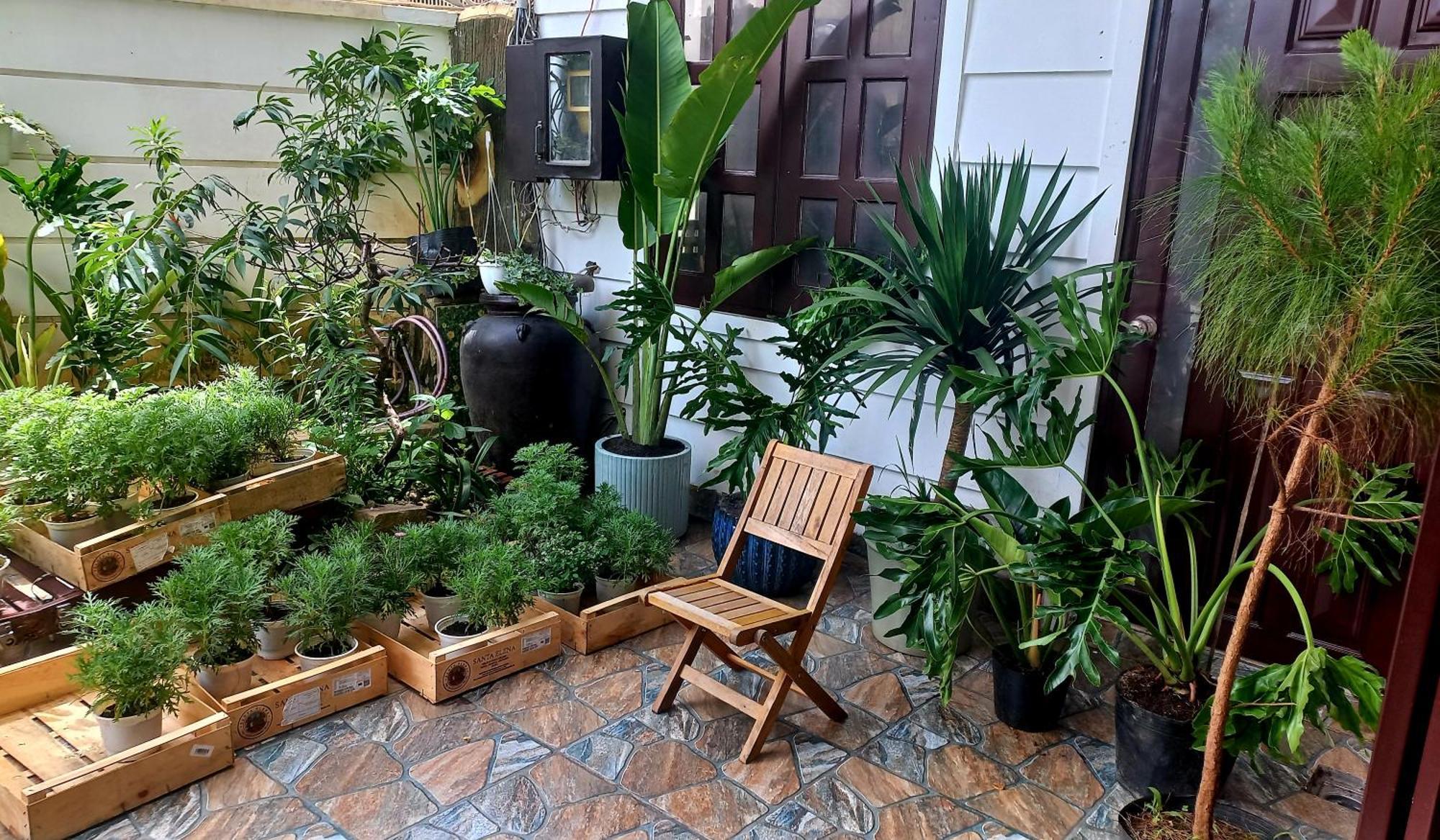Wasabi House - Homestay Ben Cho Da Lat Exterior foto