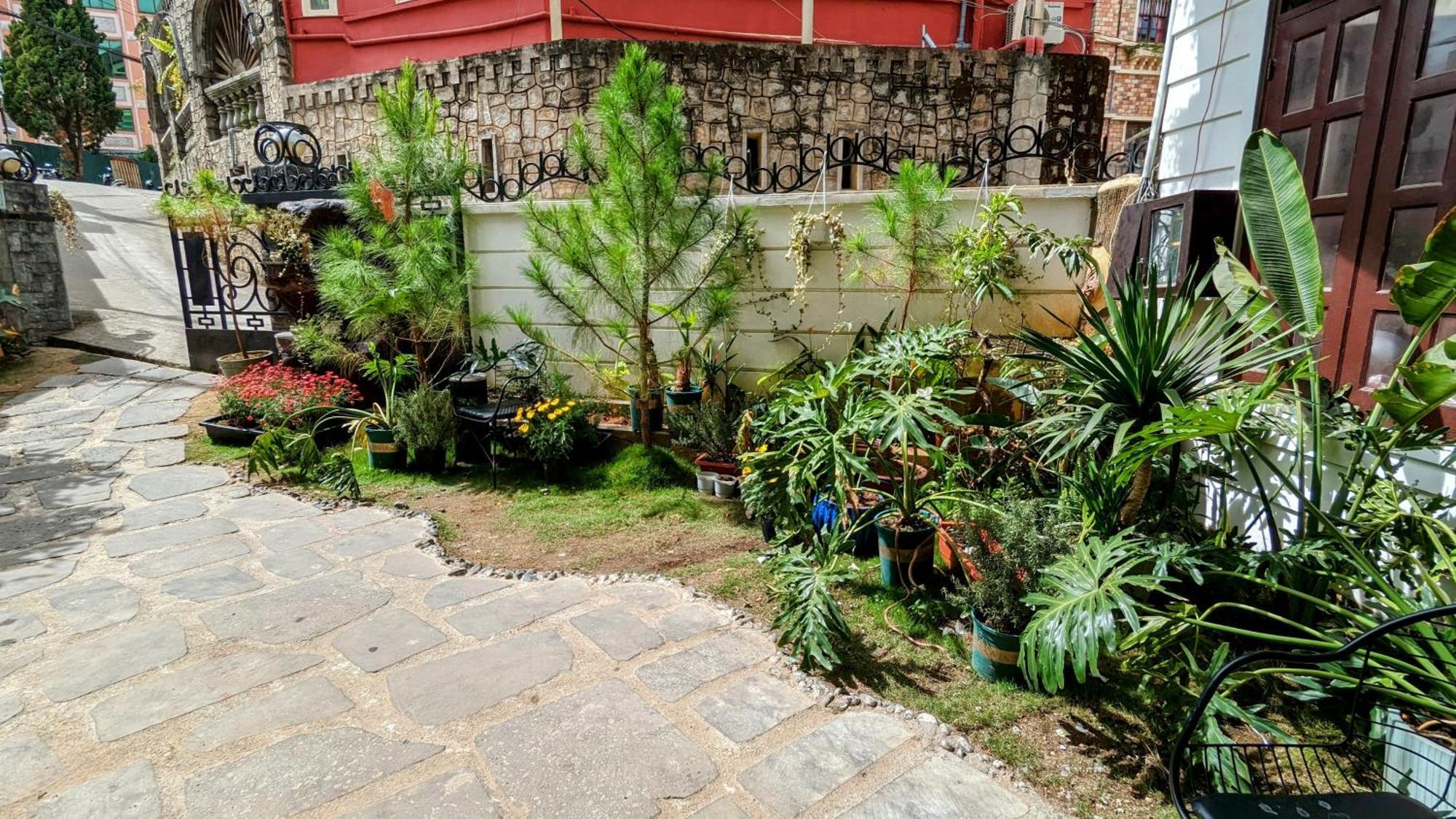 Wasabi House - Homestay Ben Cho Da Lat Exterior foto